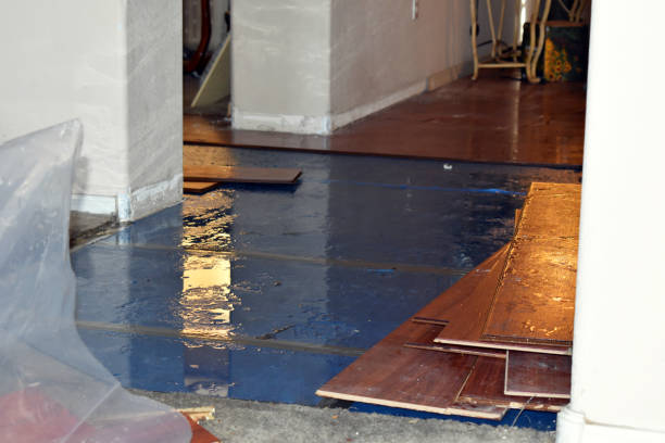 Professional Sewage Cleanup technician working in Orwell, OH